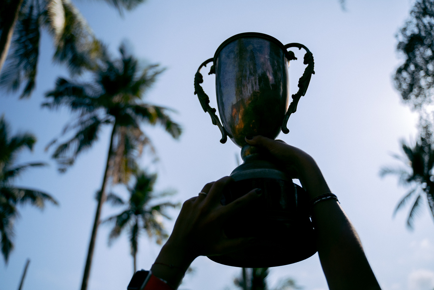 A Person Holding a Trophy